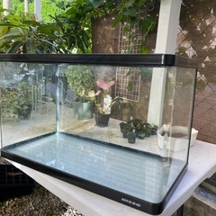 NISSO曲げガラス60cm水槽のみの出品になります。の画像