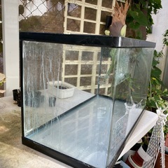 NISSO曲げガラス60cm水槽のみの出品になります。の画像