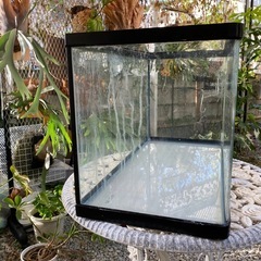 NISSO曲げガラス60cm水槽のみの出品になります。の画像