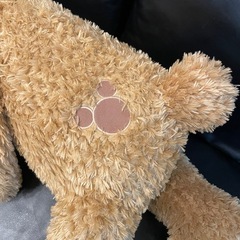 【美品】ダッフィー新Lサイズ　特大サイズの画像