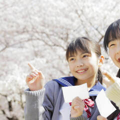 静岡市で高校受験の相談ができる家庭教師｜家庭教師のスピカの画像