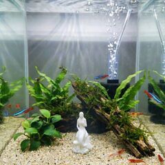 3Dプリンタ製 人魚のオーナメント / アクアリウム オブジェ / マーメイド フィギュア (高さ7cm)の画像