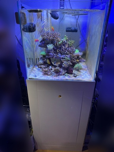 オーバーフロー水槽 45キューブ
