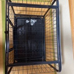 犬のゲージの画像