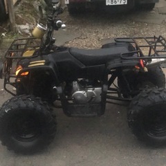 バギー50CCの画像