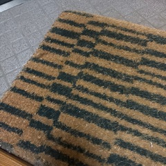 玄関マット　ラグ　自然素材の画像