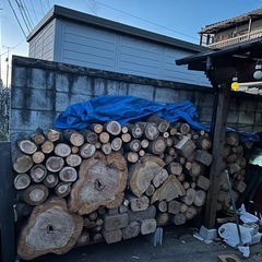 （桜、主）針葉樹少々ミックス原木玉切販売
の画像