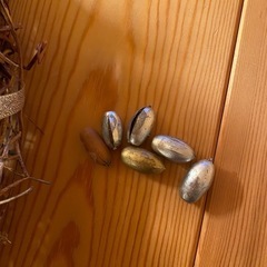 ナチュラルクリスマスリースの画像