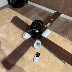 【決まりました】シーリングファンライトの画像