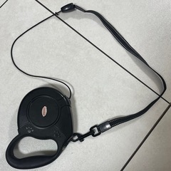 犬　伸縮リード　の画像