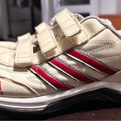 野球トレーニングアップシューズの画像