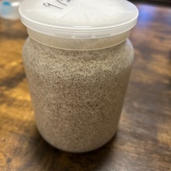 虹色クワガタ幼虫の画像