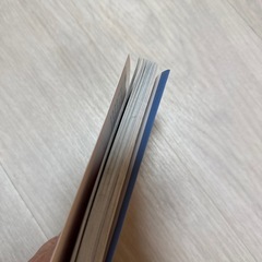 【お譲り先決定】かなしきデブ猫ちゃんの画像