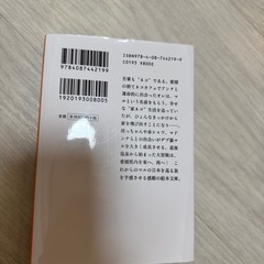 【お譲り先決定】かなしきデブ猫ちゃんの画像