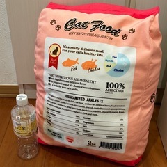 かわいいネコ　クッションの画像