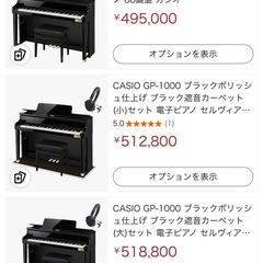 超美品2023年製 CASIO 電子ピアノ　ベヒシュタイン Celviano Grand Hybrid GP-1000 CASIO電子ピアノの画像
