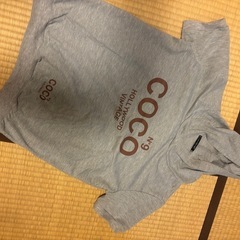 トレーナーの画像