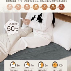 【新品】電気毛布 7段階温度調節 タイマー付き の画像