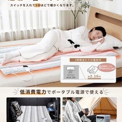 【新品】電気毛布 7段階温度調節 タイマー付き の画像