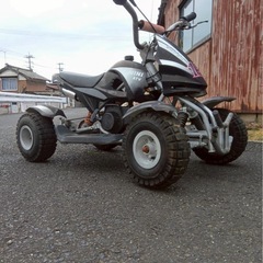 ポケバイ　バギーの画像