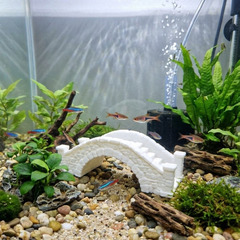 3Dプリンタ製 石橋のオーナメント / アクアリウム オブジェ / アーチ橋 置物 (幅約10cm)の画像
