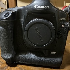 キヤノンイオス1DマークⅡの画像