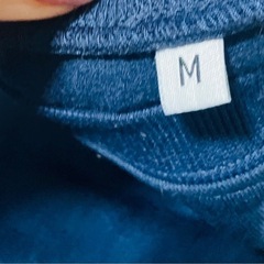 裏起毛　スウェットの画像