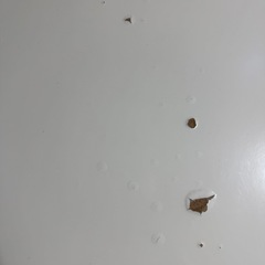 テーブルの画像