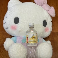 サンリオ　キティーちゃん　ぬいぐるみ2体の画像