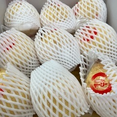 岡山県鴨梨の画像