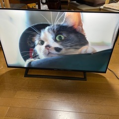 【急募】2021年式　ハイセンス　43インチ　の画像