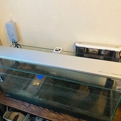 ※水槽セット GEX ジェックスの画像