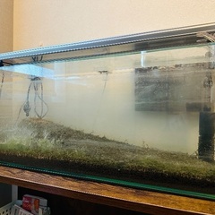 ※水槽セット GEX ジェックスの画像