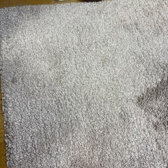 ラグ　カーペットの画像