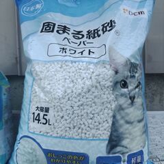 猫用　オムツ（30枚）　紙砂（未使用）　シーツの画像