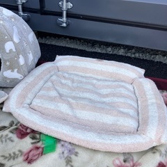 早い者勝ち　無人受け渡し　無料　ペットハウスの画像