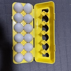 マッチングエッグの画像