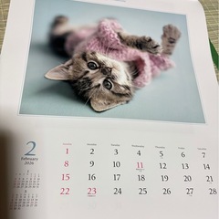 🐶  2026 アニマルカレンダー  🐶の画像