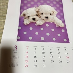 🐶  2026 アニマルカレンダー  🐶の画像