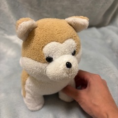 いぬ　ぬいぐるみの画像