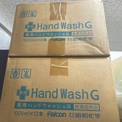 未使用｜薬用ハンドウォッシュG 1L（業務用）単品販売／まとめ買い可の画像