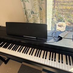 casio電子ピアノAP-470
の画像