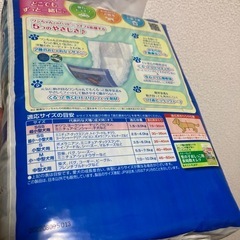 マナーウェア 男の子用 SSSサイズ モカストライプ・ライトブルージーンズ 52枚の画像