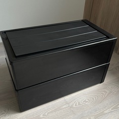 衣装ケース 奥行き74 ２個 小物整理ケース付きの画像