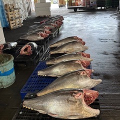 調理スタッフ大募集！現金日払い！の画像