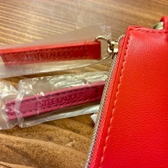 新品♪ エスティローダー化粧ポーチ二連の画像