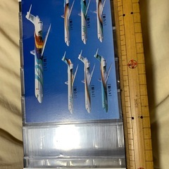 １／500  ＪＡＳの画像