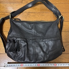 ear 2way バッグの画像