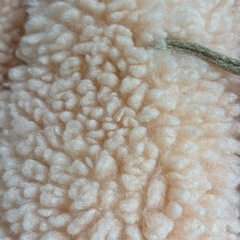 モコモコ　くまさん　ジャケットの画像