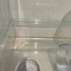 グラスハーモニー　ハムスター　　ゲージ　セットの画像